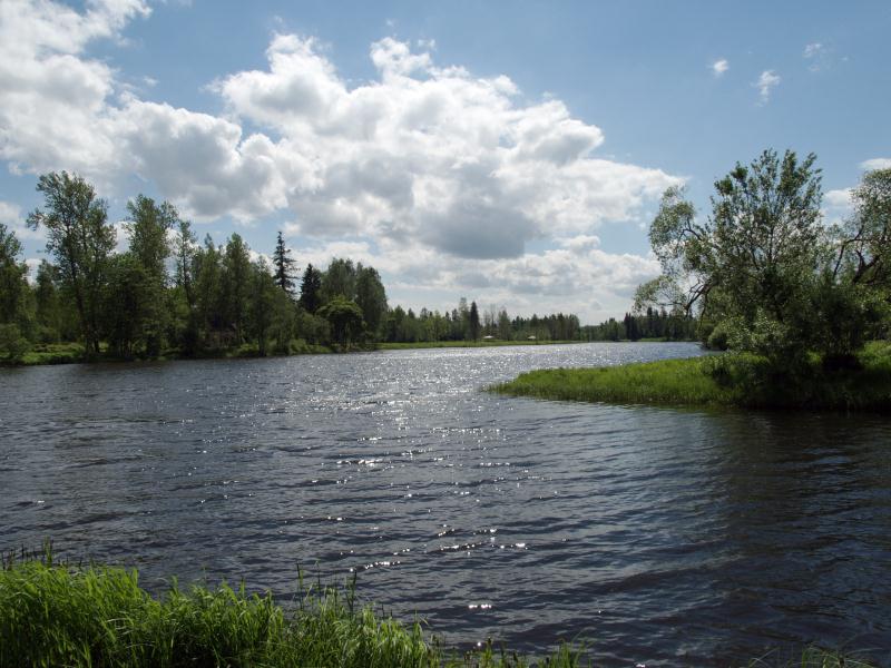 File:Valgamaa_Palupera vald_Hellenurme_Elva jõe veehoidla2.jpg